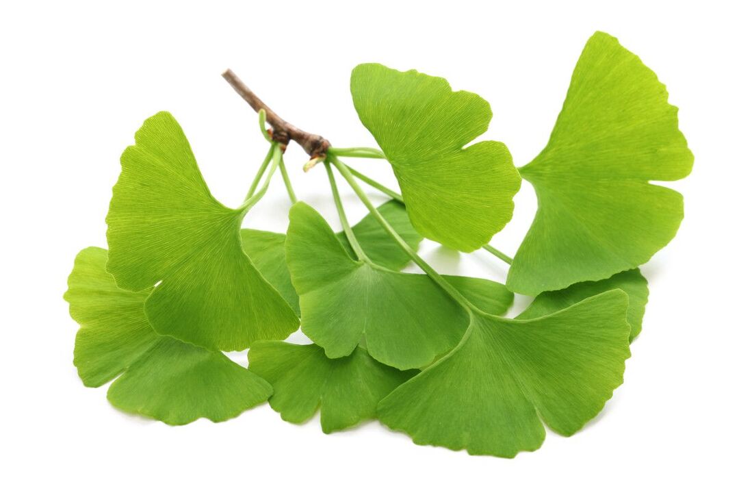 ginko biloba tilkades Alcozar